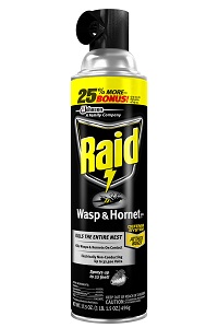 Raid Wasp & Hornet Killer Aer. Foam 17.5 oz.