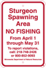 8.03.10D  Sturgeon Spawning Area  NO FISHING  From April 1 through May 31  To report call: ...
