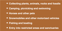 8.02.05B  [decal: alternate rule list not banning dogs, hunting, or trapping]